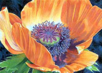 "Poppy" by Cheryl Plautz, Medford WI - Acrylic, SOLD